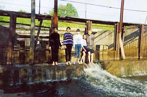 Походчики стоят сзади плотины. Видно, как стекает вода. Плотина похожа на высокий деревянный забор с метровым фундаментом