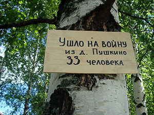 Табличка в Пушкино