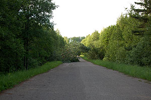 Дорога на Пушкино