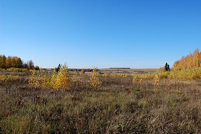Осенний желто-оранжевый пейзаж