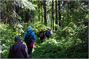 Туристы идут по лесной тропе