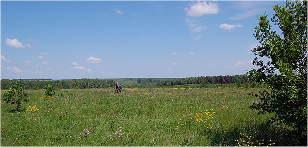 Вид на восток в сторону Пижанского района с  Ерошкинского холма