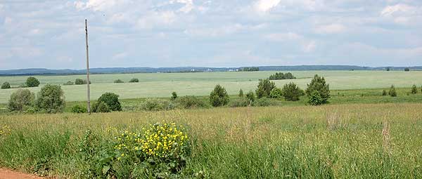 Вид на д. Пушкино с северо-западного склона холма по дороге в с. Сердеж.