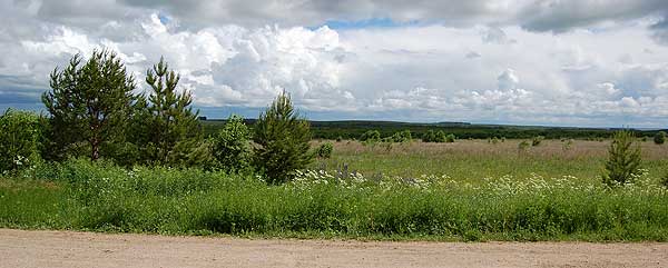 Вид с Барановского бугра на восток в сторону оз. Никулятского