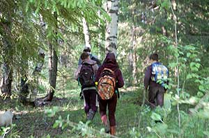 Туристы идут через смешанный лес