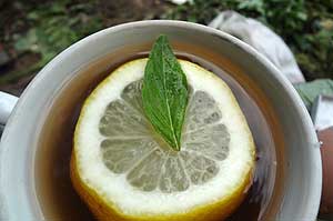 Походный чай – с мятой и лимоном