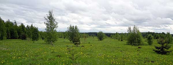 Вид на северо-восток в сторону с. Безводное Пижанского района с Ерошкинского холма