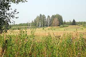 Вид с северного конца дамбы на урочище Царегородцы