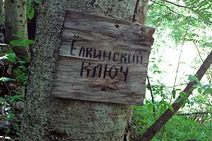 Табличка с названием ключа на дереве