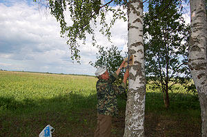 Табличка близ д. Курочкино