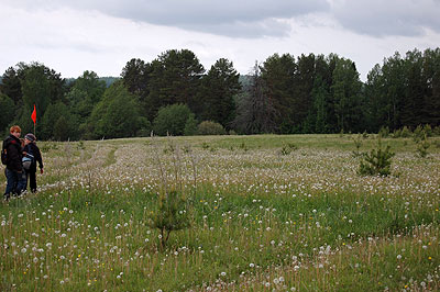 Авангард группы