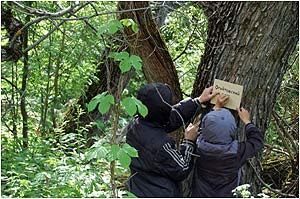 Укрепление таблички