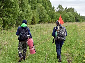 Идём вдоль леса в северо-восточном направлении к д. Ерошкино