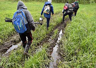 Проходим подболоченные участки и обнаруживаем конец дороги