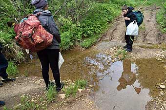 Вода в ручье очень чистая