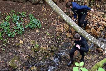 Водопад осматриваем сверху