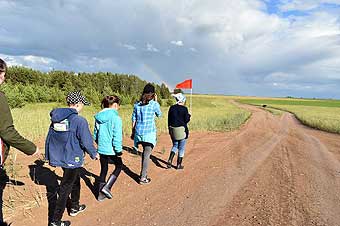 Полевая дорога ведёт к д. Долбилово